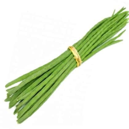 drum stick, moringa