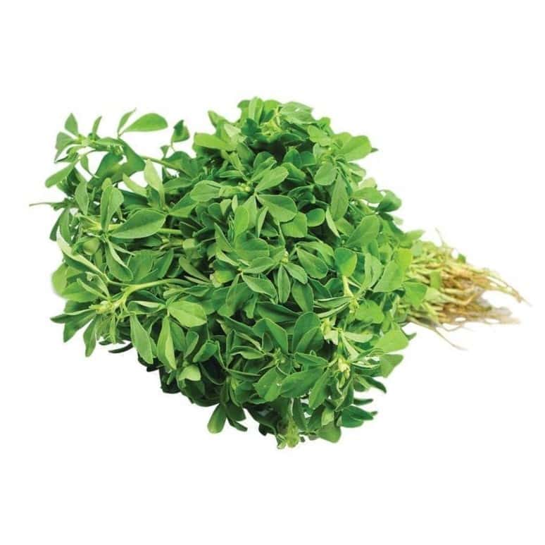 Fenugreek leaves