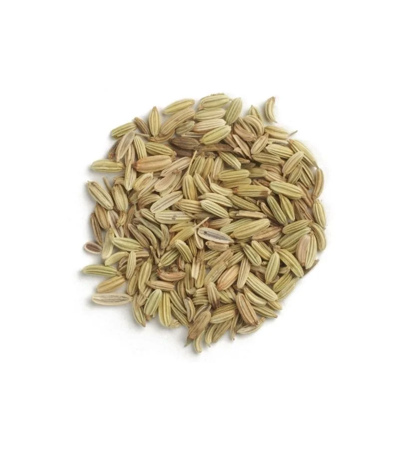 Freeze-Dried Fennel