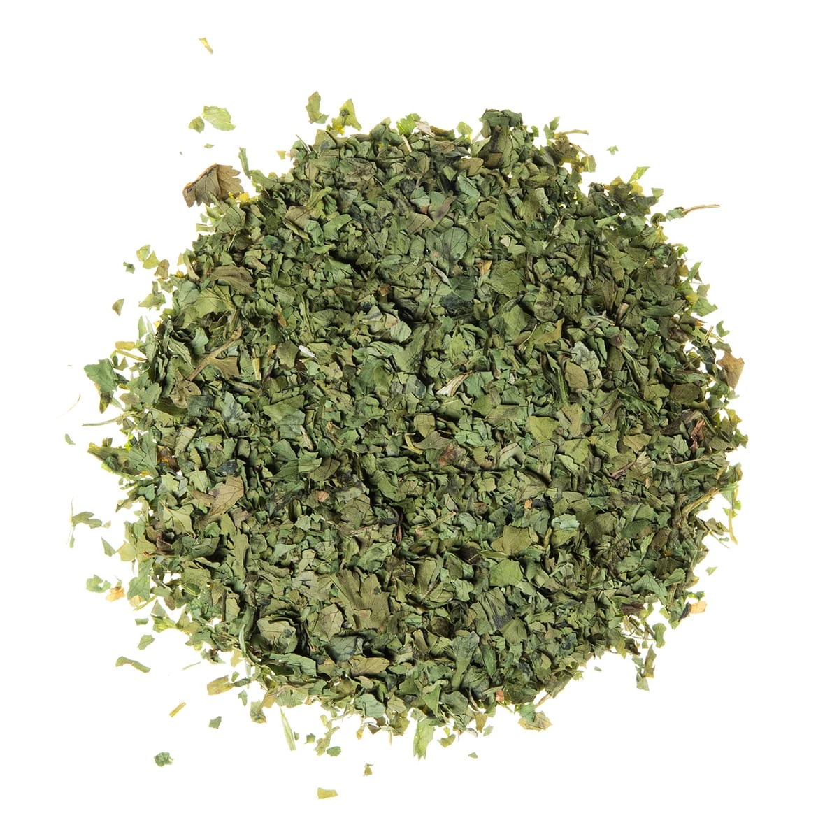 Air-Dried Coriander / Cilantro Supplier and Exporter from India