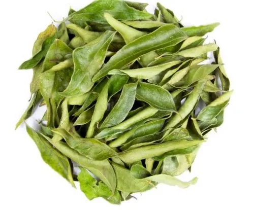 Air-Dried Curry Leaves Supplier and Exporter from India