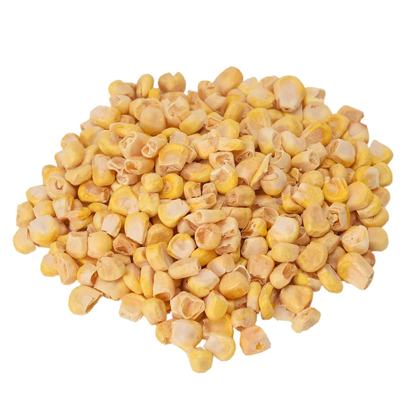 Air-Dried Sweet Corn Supplier and Exporter from India