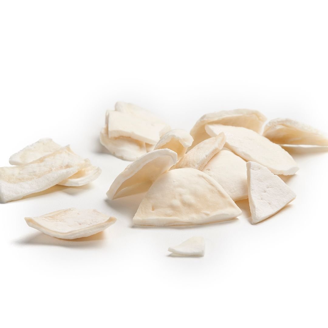 Freeze-Dried Coconut Supplier and Exporter from India