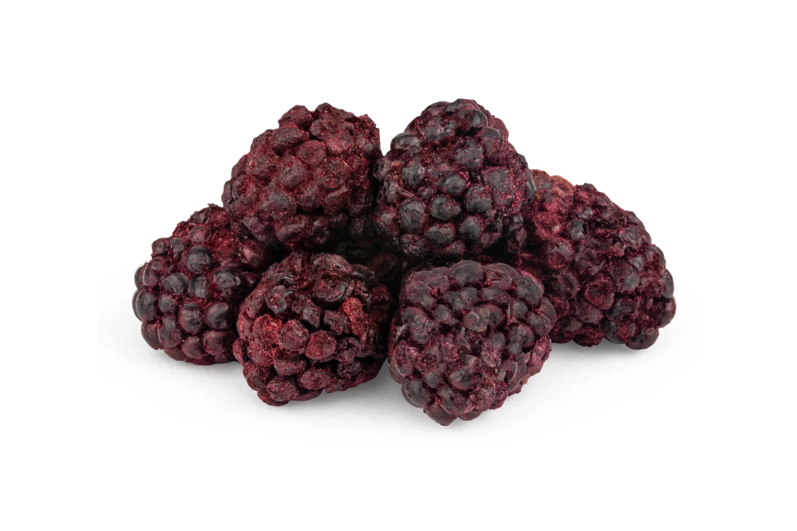 Freeze-Dried Blackberry