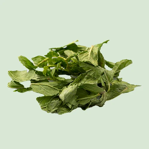 Freeze-Dried Mint