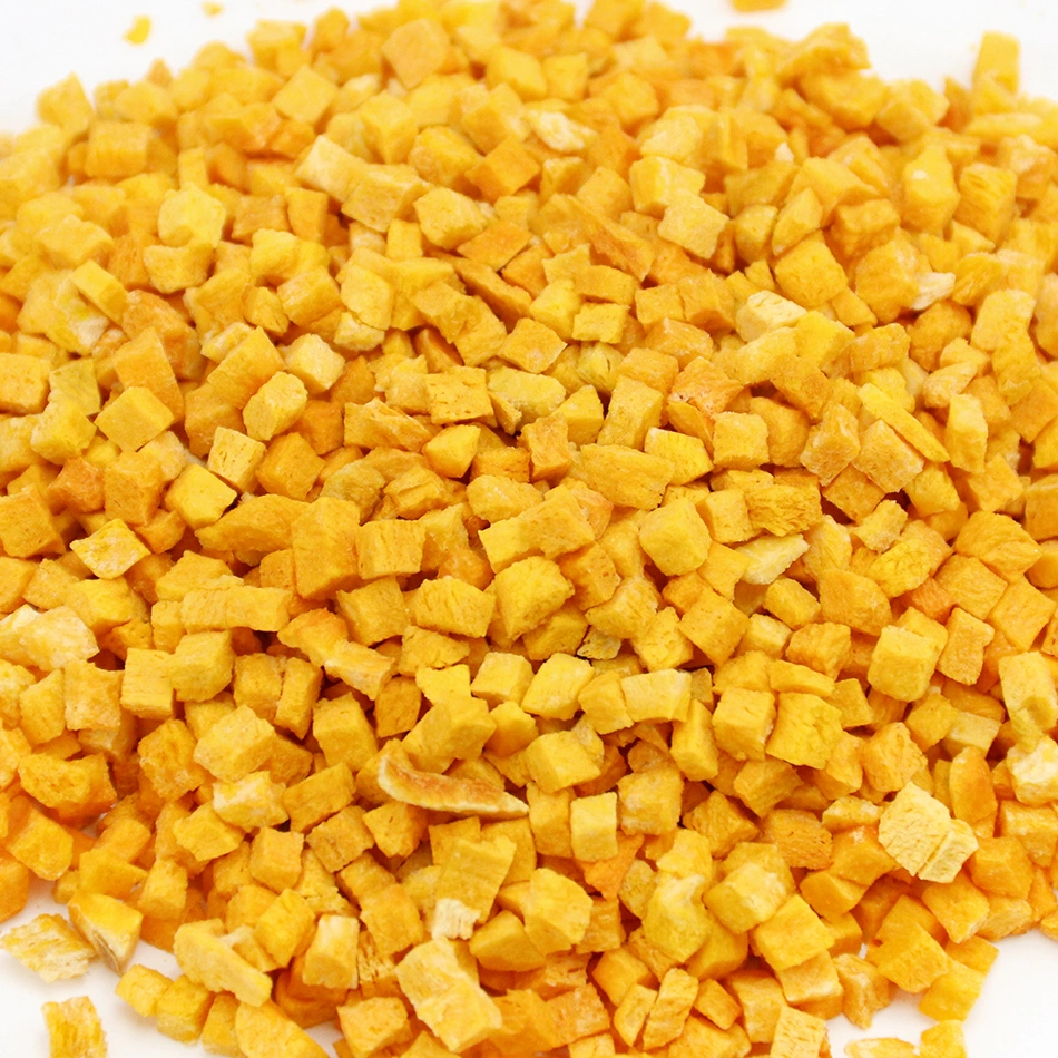 Freeze-Dried Pumpkin