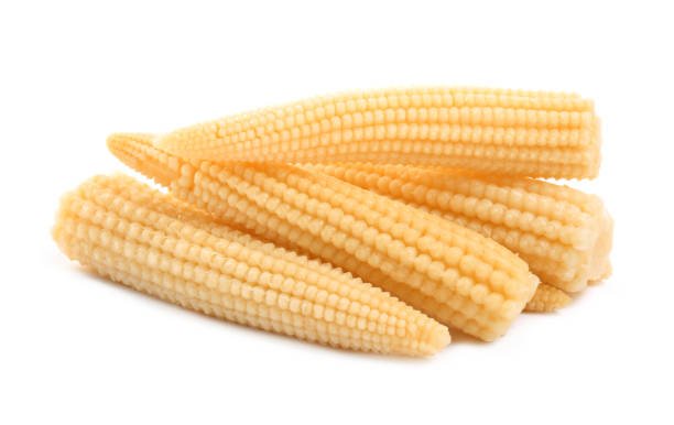 IQF Baby Corn Supplier and Exporter from India