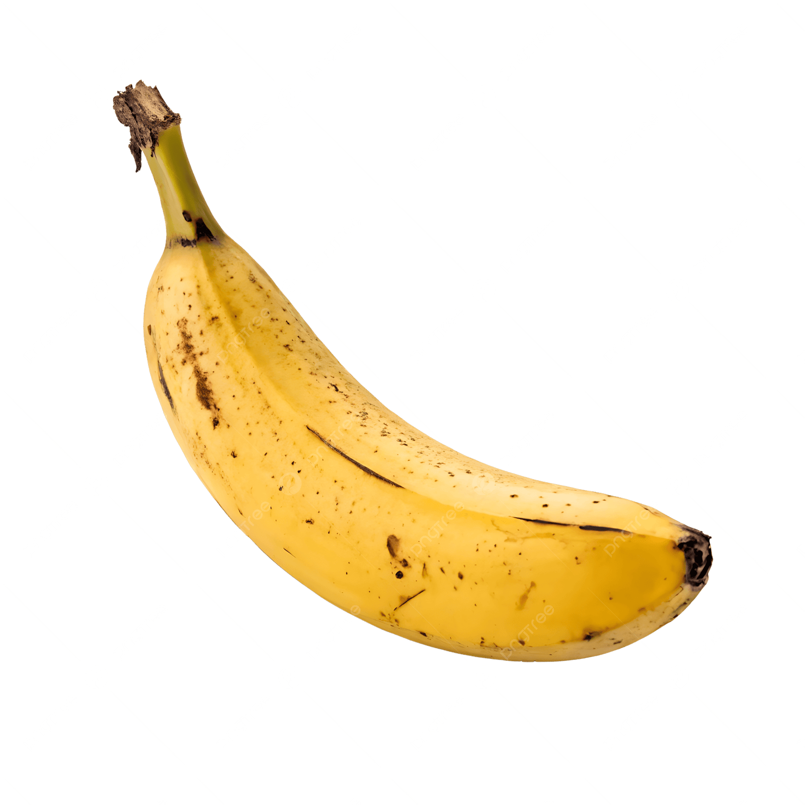 IQF Banana Supplier and Exporter from India