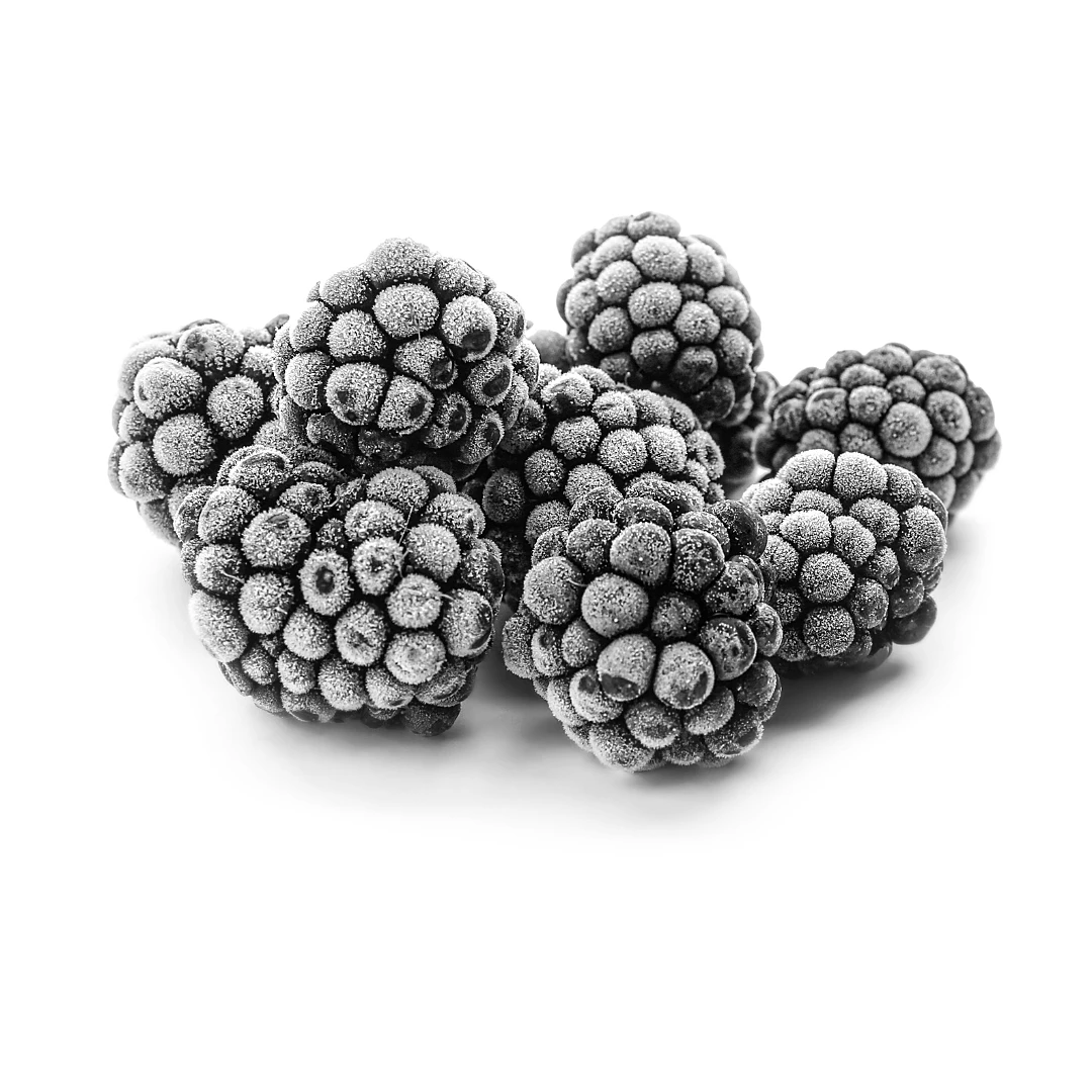 IQF Black Berry Supplier and Exporter from India