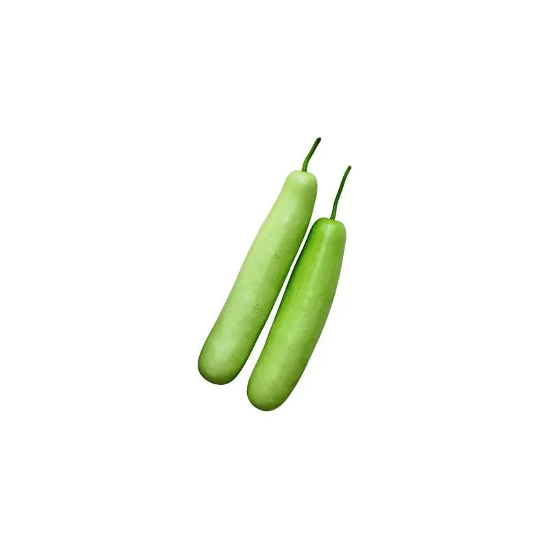 IQF Bottle Gourd Supplier and Exporter from India