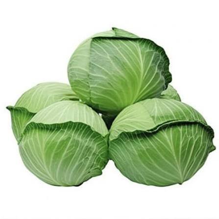 IQF Cabbage Supplier and Exporter from India