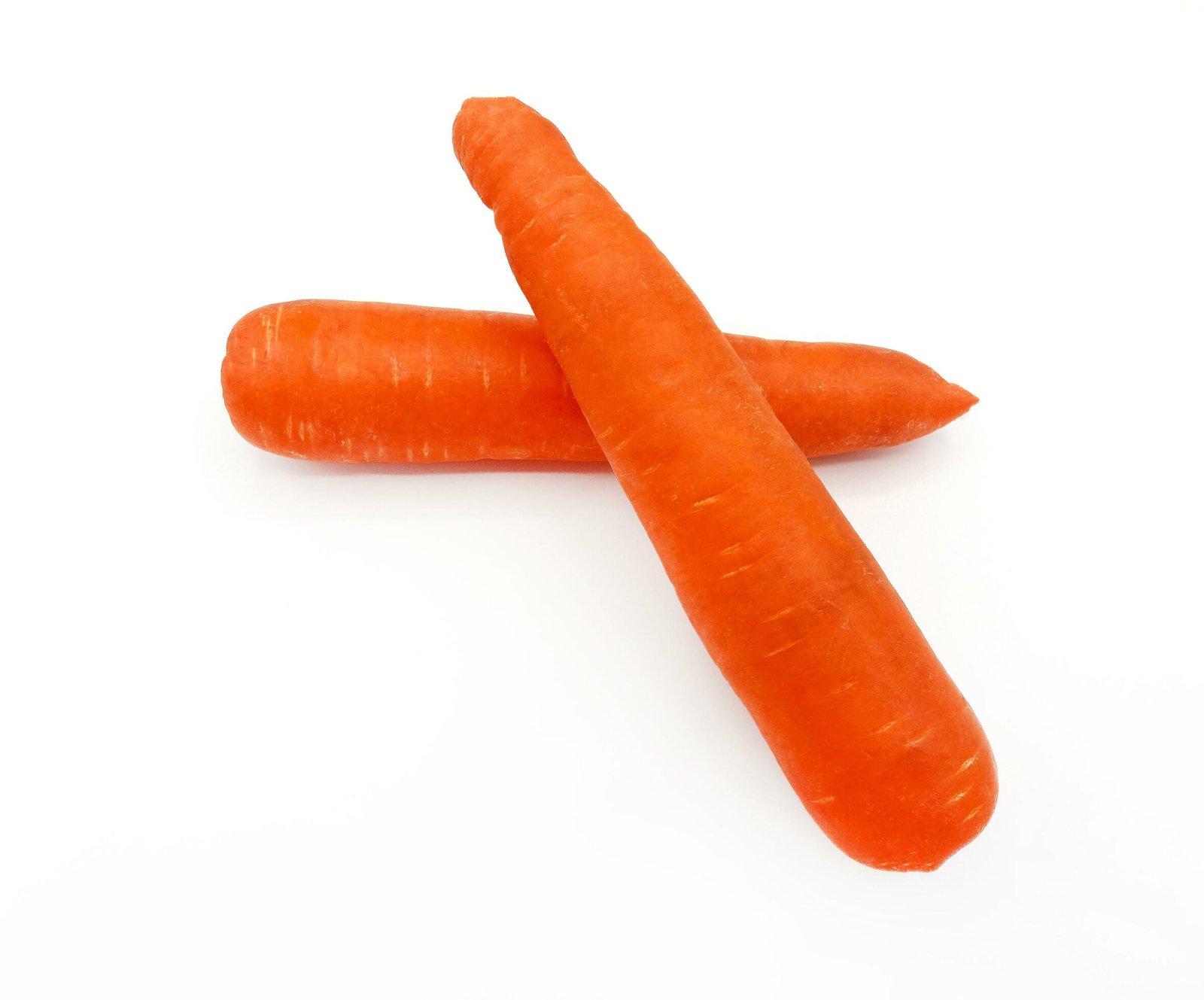 IQF Carrot Supplier and Exporter from India