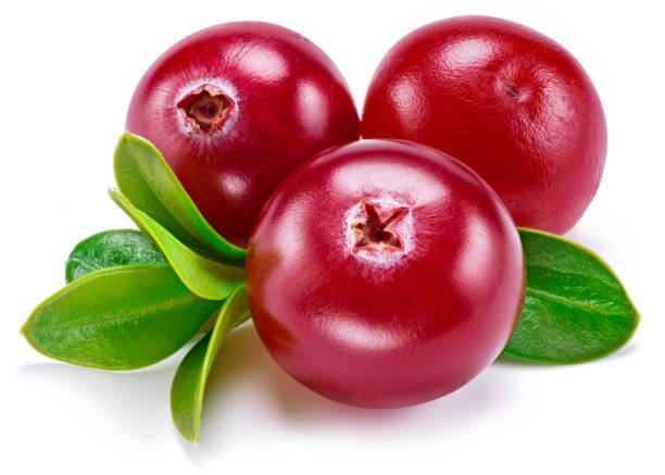 IQF Cranberry Supplier and Exporter from India