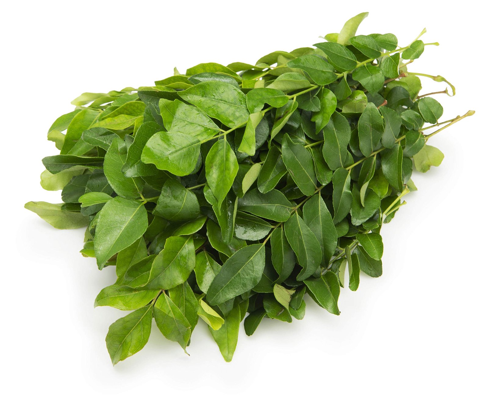 IQF Curry Leaves Supplier and Exporter from India