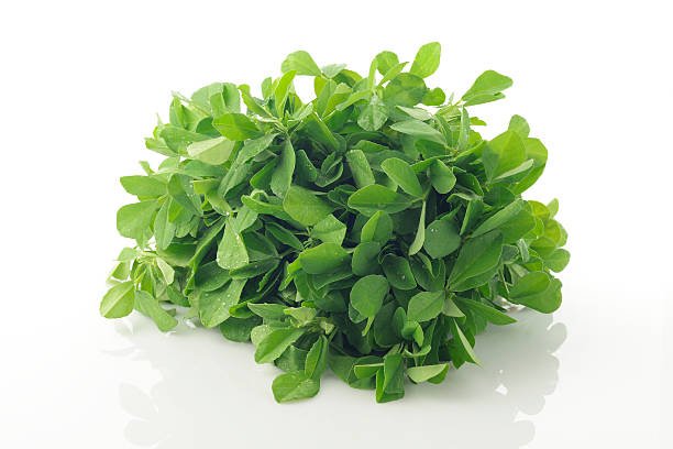 IQF Fenugreek Supplier and Exporter from India