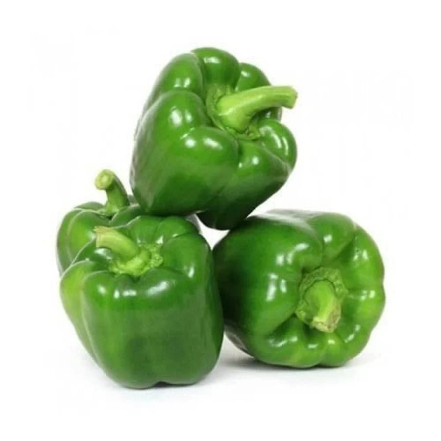IQF Green Capsicum Supplier and Exporter from India