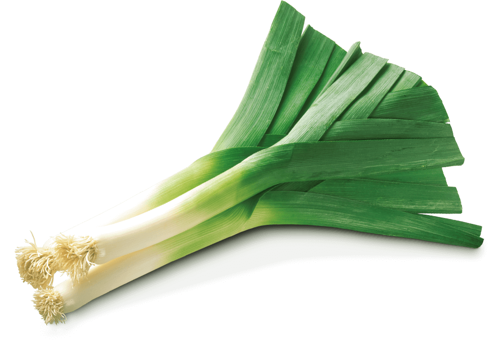 IQF Leek Supplier and Exporter from India