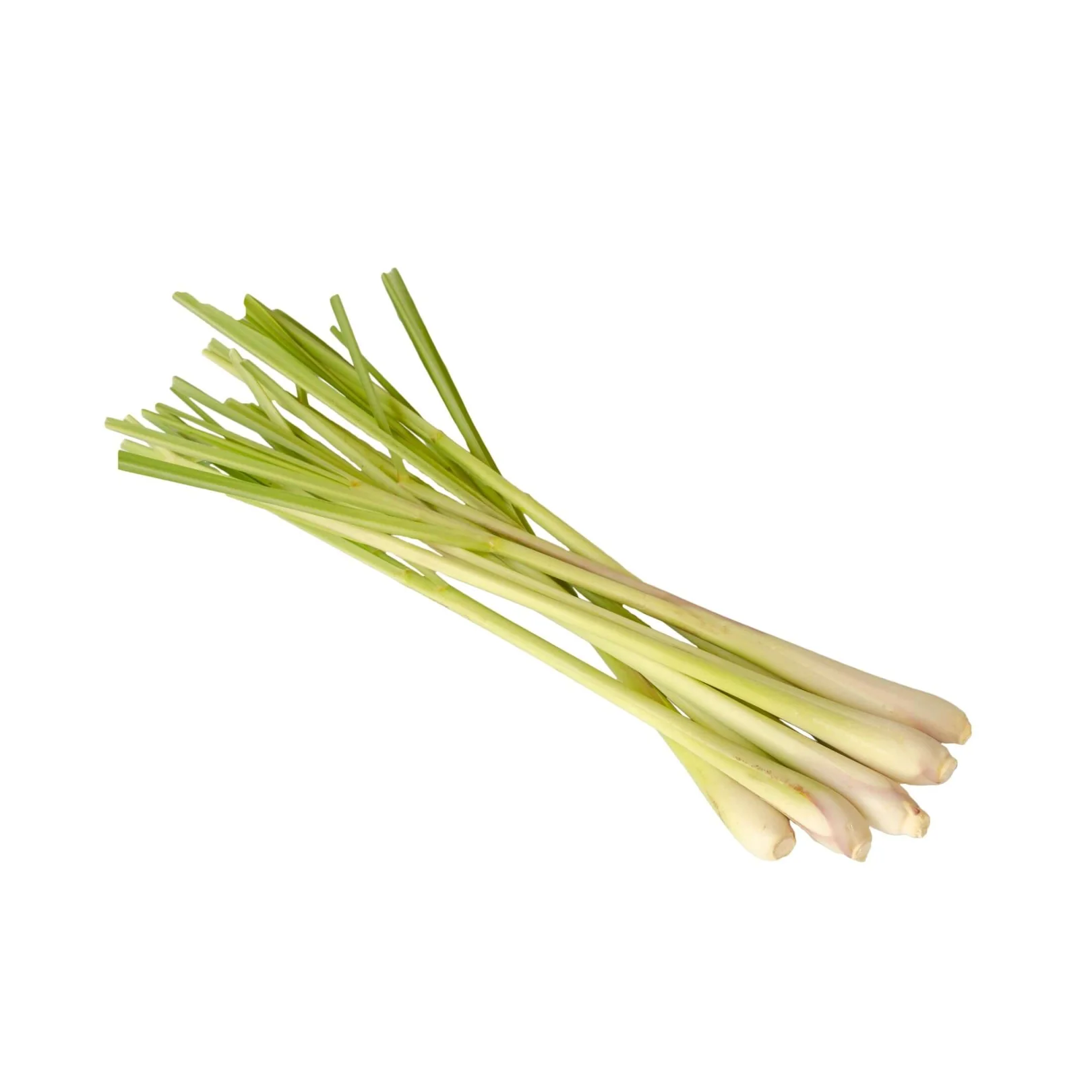 IQF Lemon Grass Supplier and Exporter from India