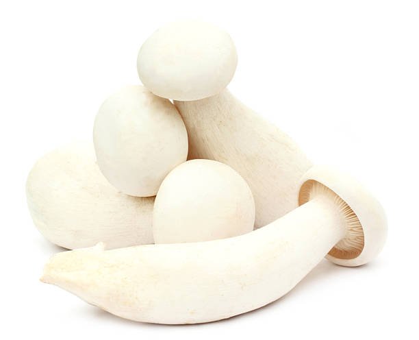 IQF Mushroom Supplier and Exporter from India