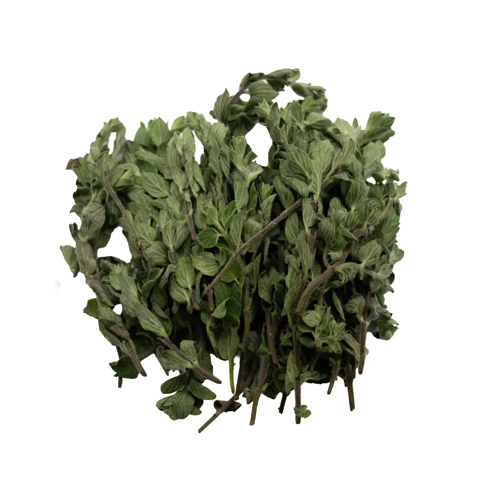 IQF Oregano Supplier and Exporter from India