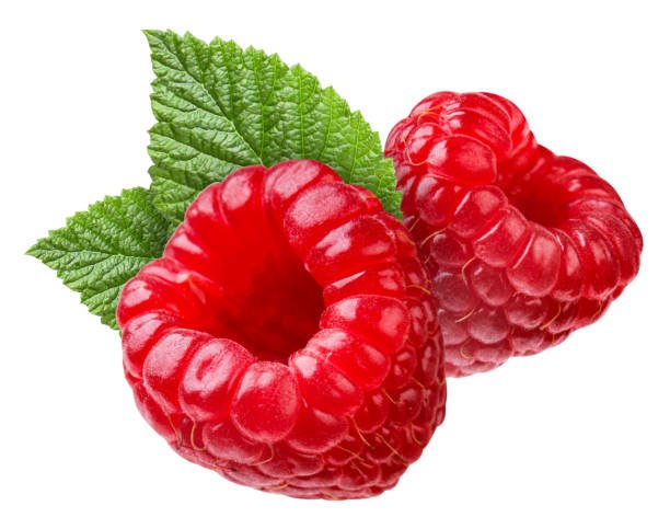 IQF Raspberry Supplier and Exporter from India
