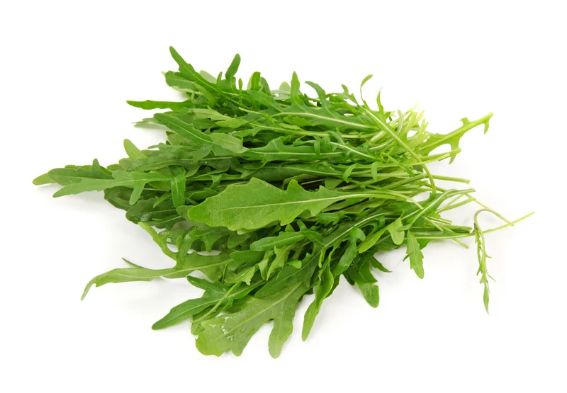 IQF Rocula Supplier and Exporter from India
