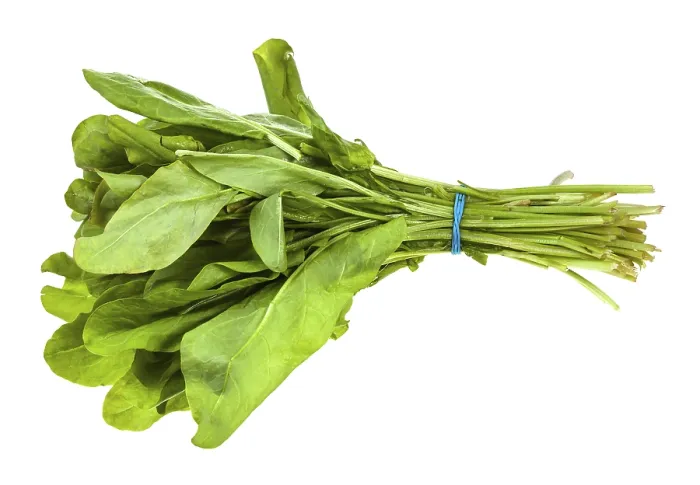 IQF Sorrel Supplier and Exporter from India
