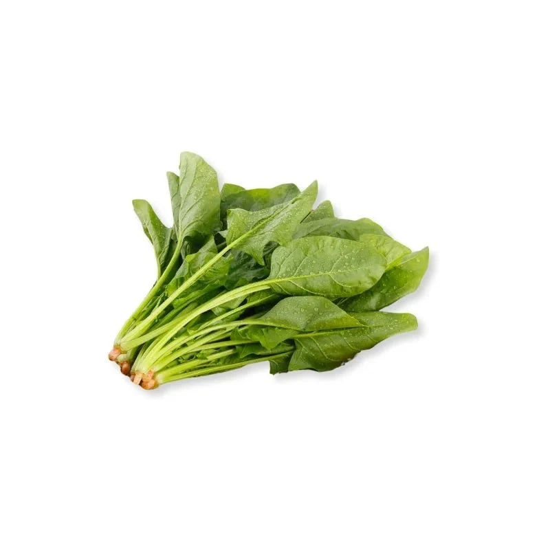 IQF Spinach Supplier and Exporter from India