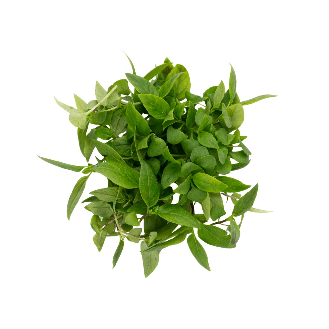 IQF Thai Basil Supplier and Exporter from India