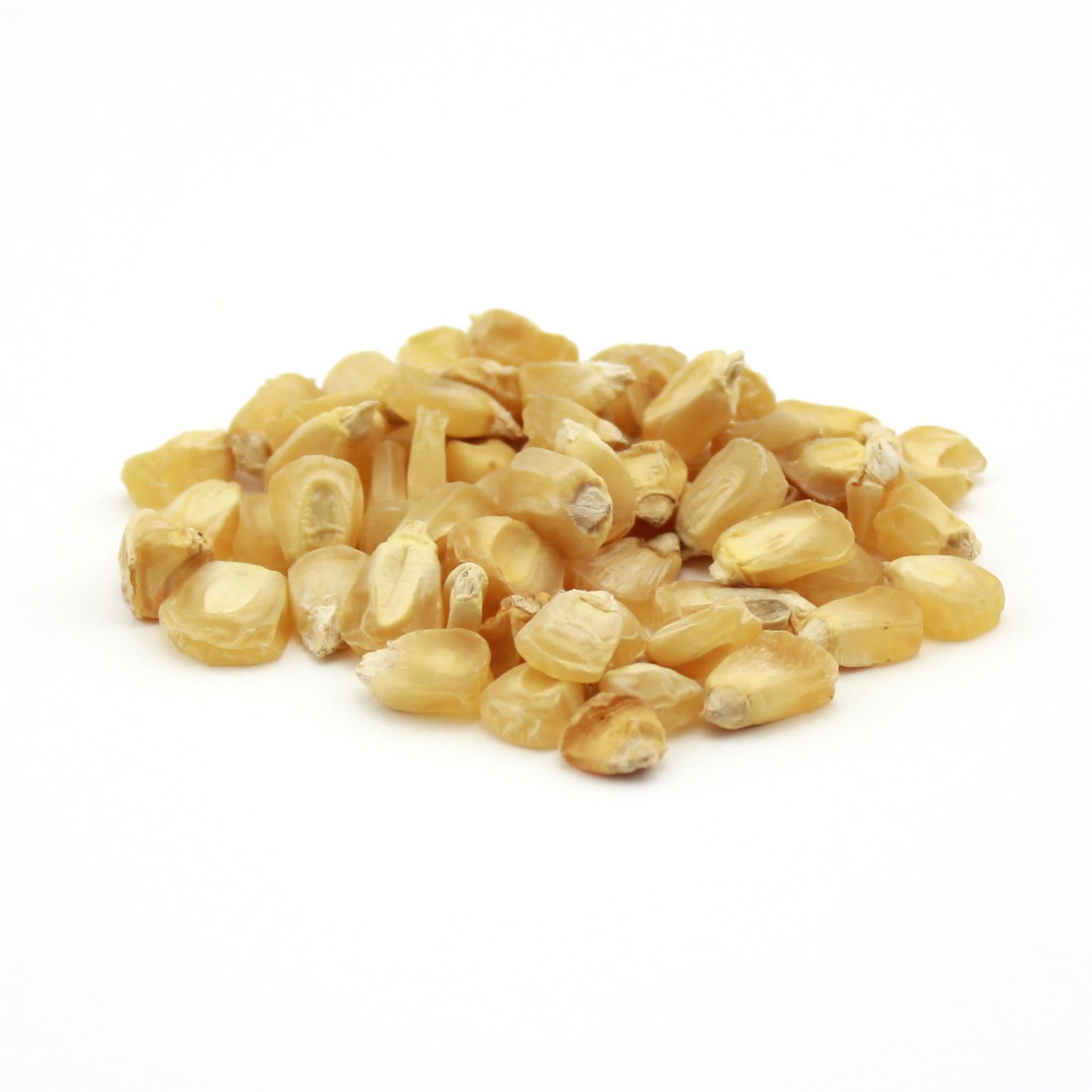 Air-Dried Baby Corn Supplier and Exporter from India
